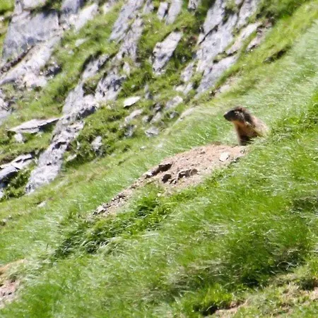 : Cosy 4 Pers, Centre-ville, Proche Telecabine, Parking Inclus. - Fr-1-401-16 Cauterets